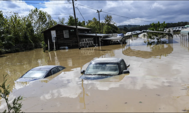 Here’s How to Help Western North Carolina Rebound